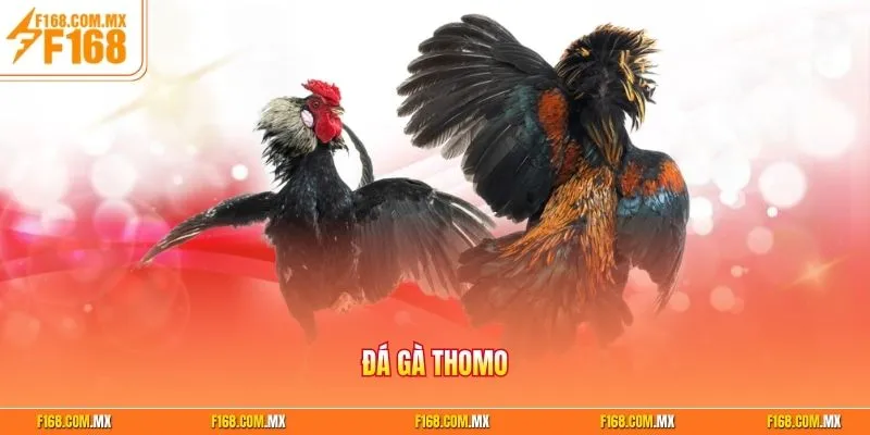 da-ga-thomo