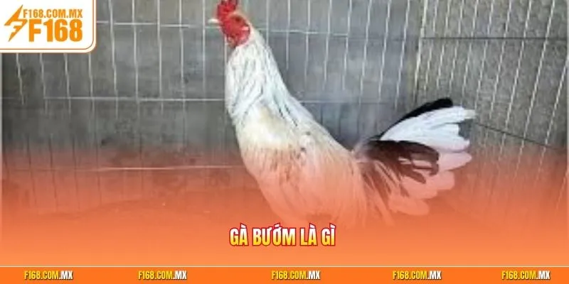 ga-buom-la-gi