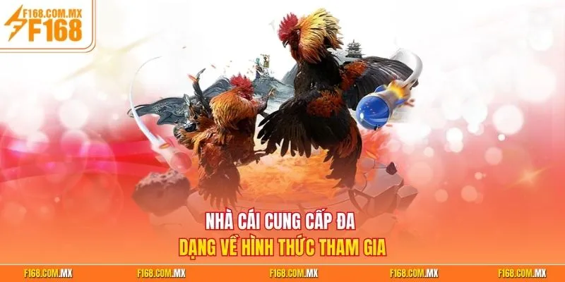 Nhà cái cung cấp đa dạng về hình thức tham gia