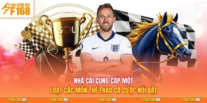 nha-cai-cung-cap-mot-loat-cac-mon-the-thao-ca-cuoc-noi-bat