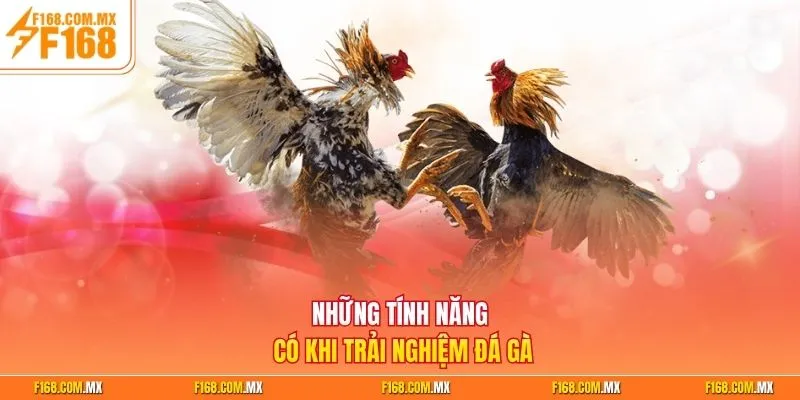 Những tính năng có khi trải nghiệm đá gà