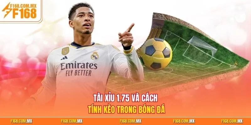  Tài xỉu 1.75 và cách tính kèo trong bóng đá 